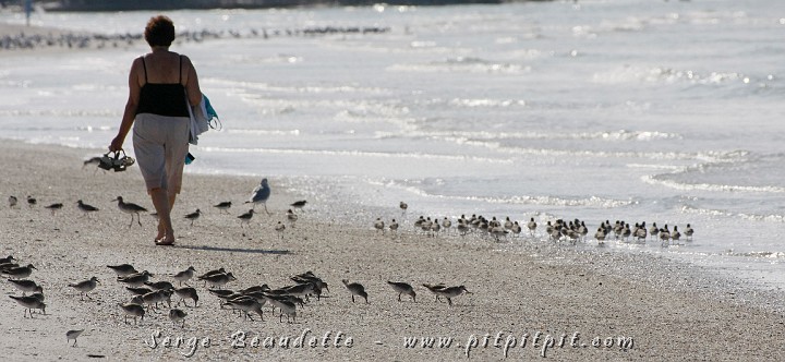 2009-01-04 10-43-42__MG_9616.JPG